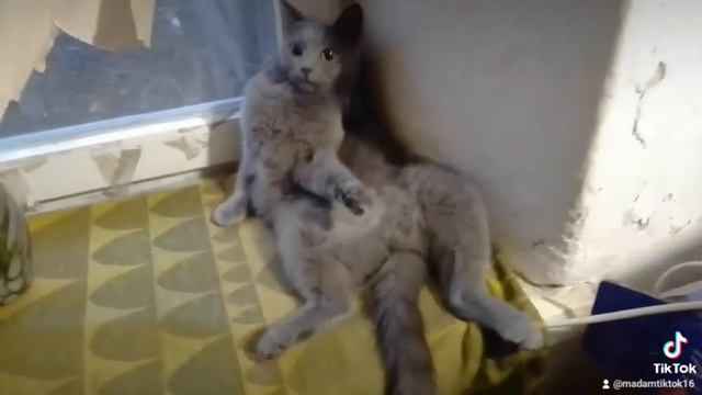 ты куриш?,и з бабами спишь? смотреть онлайн