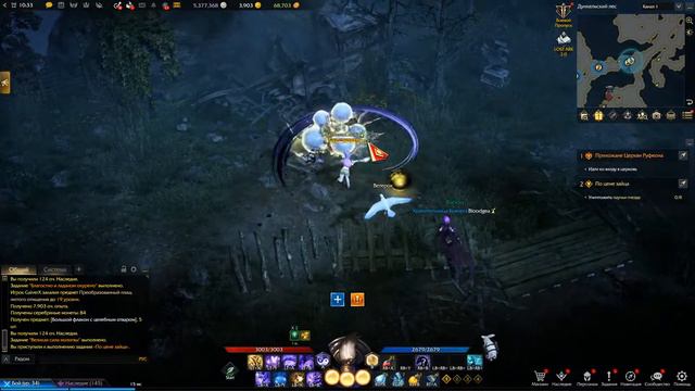 Lost Ark 2.0 Художница Let's play. Часть 11 - Бирнийский дол, Дункельский лес смотреть онлайн