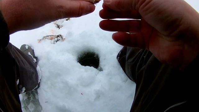 Рыбалка на Оке  Февраль 2022 г