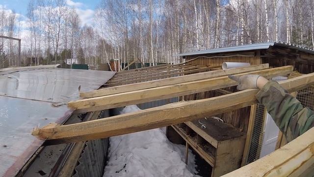 Суточные крольчата,сажаем лук, новая крыша, забрал коробку. влог кроли кровля смотреть онлайн