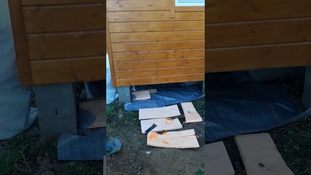 Поднять садовый домик. смотреть онлайн