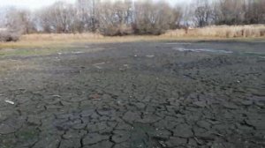 Сапропель! Что за "зверь" и с чем его едят???