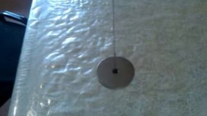 Вращающийся магнит в своём поле.