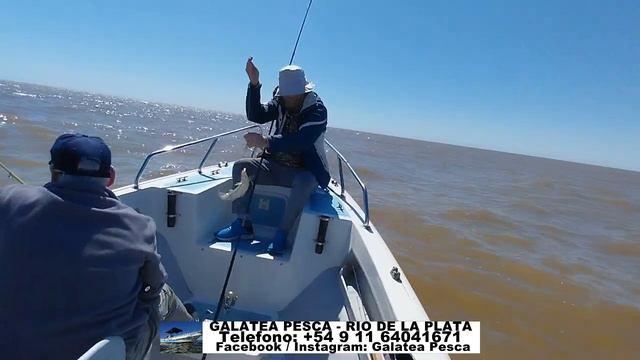 OCTUBRE CON MATUNGOS EN EL RIO DE LA PLATA GALATEA PESCA GUIA JORGE Telefono: +54 9 11 64041671 смотреть онлайн