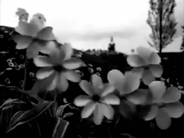 Christopher G. Brown's Teletubbies Joy Division Edit смотреть онлайн