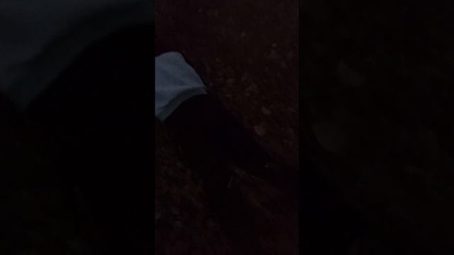 Гайд как выбраться из канавы, для нубов! смотреть онлайн