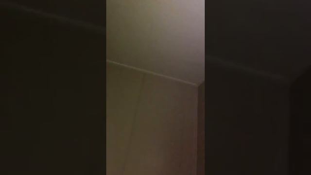 Лампа дневного света смотреть онлайн