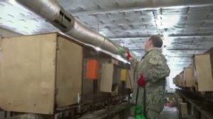 Содержание  кроликов в ЛПХ МОРЯК