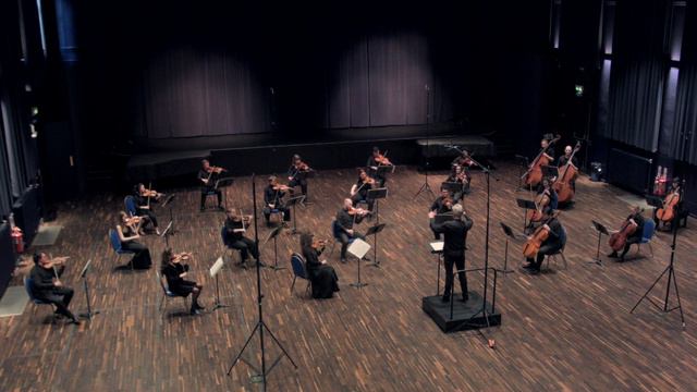 String Ensemble / Elgar Serenade for Strings in E minor op.20 смотреть онлайн
