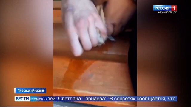 Новые факты издевательств над животными в Архангельской области смотреть онлайн