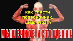 Деградация мышц мешает крови течь в шею и мозг. Уникальные упражнения для позвоночника
