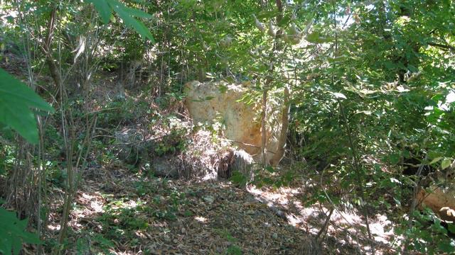 Поездки в Ольговку. Херсонская область, Бериславский район. смотреть онлайн