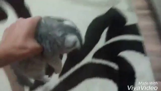 моя радость:3 смотреть онлайн