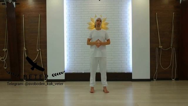 Дерево Жизни  Энергонакопительная практика