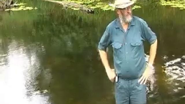 Mary River Habitats смотреть онлайн