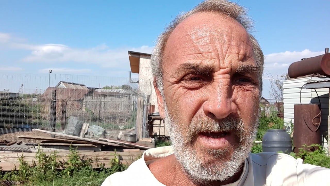 "УСЛОВНЫЙ ВЫХОДНОЙ" НА МОЕМ ДВОРЕ смотреть онлайн