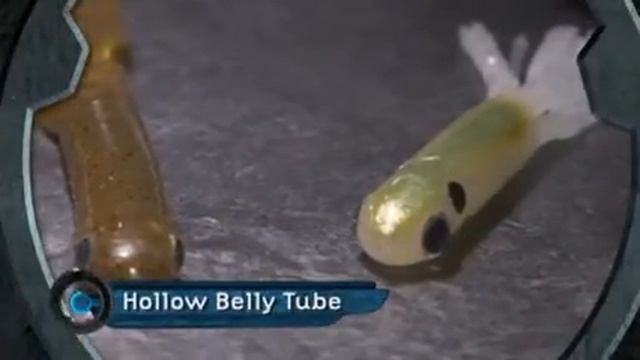 New Berkley Products смотреть онлайн