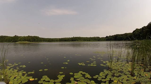 Велопоход через Польшу на Балтийское море. Возвращение.День 7-й. Ночевка в гамаке. смотреть онлайн