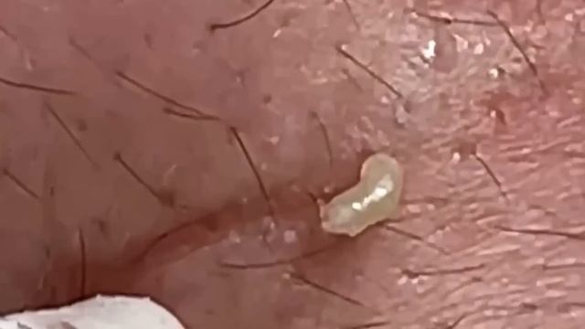 ????? ??? ???????? ??????́?? ???? ?? ????? #???