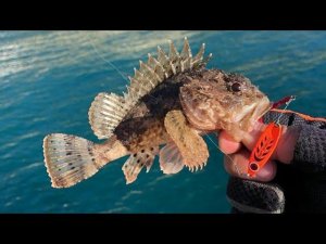 Рыбалка на черном море, конец апреля.