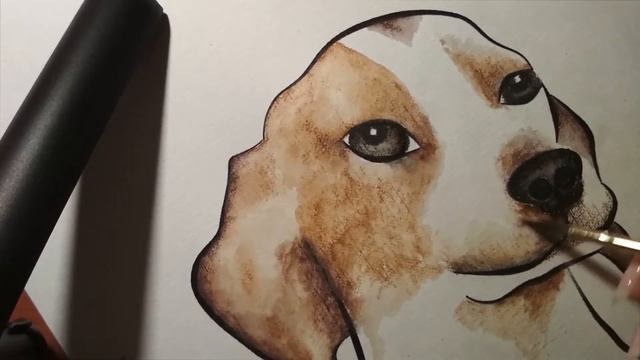 Голова собаки акварельными карандашами. смотреть онлайн