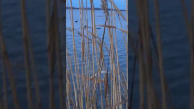 Утро первый день смотреть онлайн