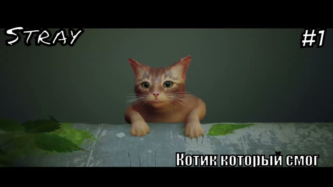 Stray прохождение #1 Котик который смог #straycat #stray смотреть онлайн