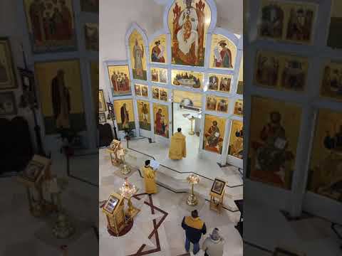 02.12.2023 Фрагмент трансляции Божественной Литургии. смотреть онлайн