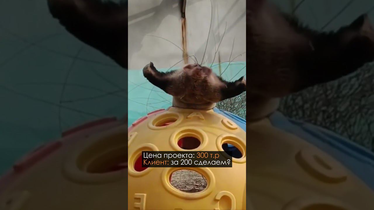 300 или 200 смотреть онлайн