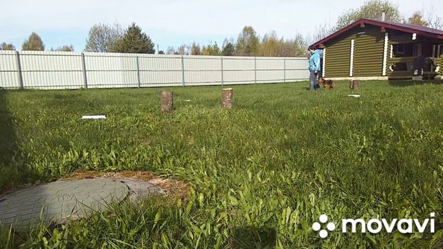 РО1. Миловидова Татьяна, Том. Кубок Панды 2023 по Ралли Обидиенс онлайн смотреть онлайн