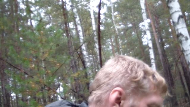 Лес наше богатство- Галопом по тайге Петр Малюгин смотреть онлайн