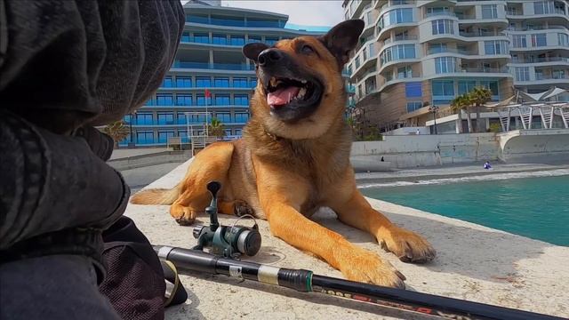 ▶️КРЫМ. Идём на РЫБАЛКУ .ФОНТАН заработал в ПАРКЕ приморском .ГЛИЦИНИЯ ТЮЛЬПАНЫ. ЯЛТА СЕГОДНЯ смотреть онлайн