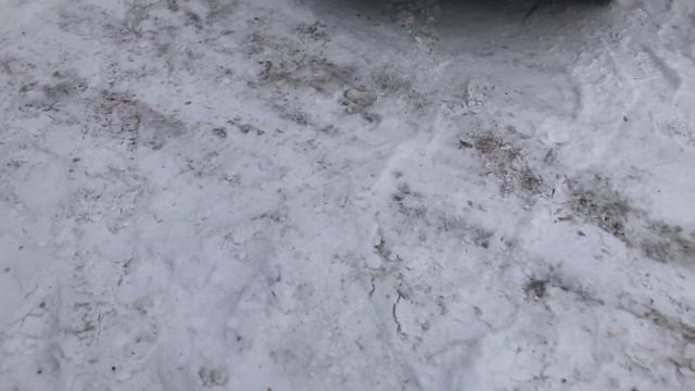 НАСАДКА НА ВЫХЛОП ЛАДЫ КАЛИНЫ ! МЕНЯЕТ ЗВУК ПРАВДА ИЛИ МИФ? смотреть онлайн