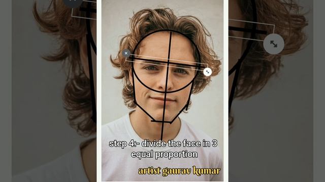 How to draw portraits using Andrew Loomis method смотреть онлайн