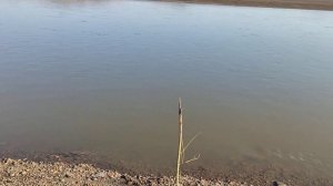 Красноярское водохранилище, Сыда,Рыбалка 11 мая 2022