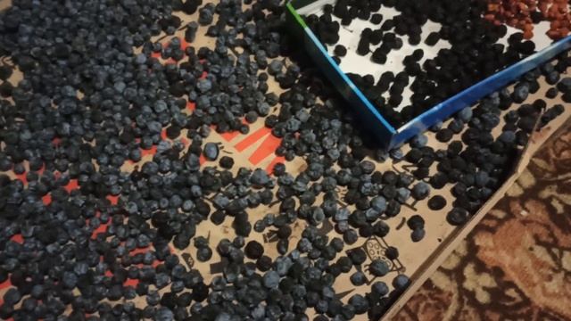 Ягодки любящие морозы: Тёрн смотреть онлайн