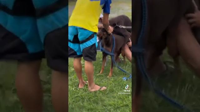 𝐅𝐫𝐨𝐦 𝐏𝐢𝐥𝐚 𝐋𝐚𝐠𝐮𝐧𝐚 𝐭𝐨 𝐉𝐨𝐯𝐞𝐫𝐦𝐚𝐧 𝐊𝐞𝐧𝐧𝐞𝐥 𝐒𝐚𝐧 𝐑𝐚𝐟𝐚𝐞𝐥 𝐁𝐮𝐥𝐚𝐜𝐚𝐧 смотреть онлайн