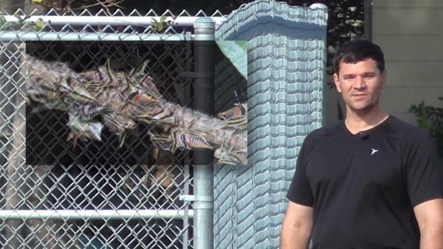 Panasonic HC V110 смотреть онлайн