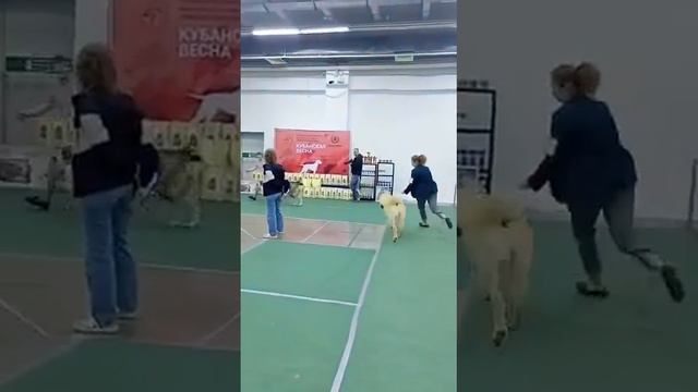 ЯСНА ДОЧЬ МАРШАЛА смотреть онлайн