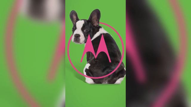 Tech Logo Evolution смотреть онлайн