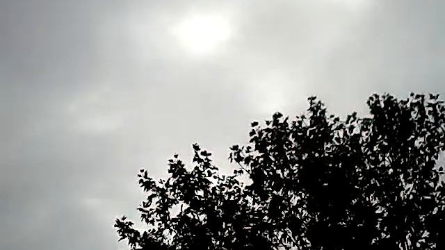 День. Вечер. Ночь. Собираем анекдоты 2023 ч.44 #DeSeRtod #Юмор смотреть онлайн