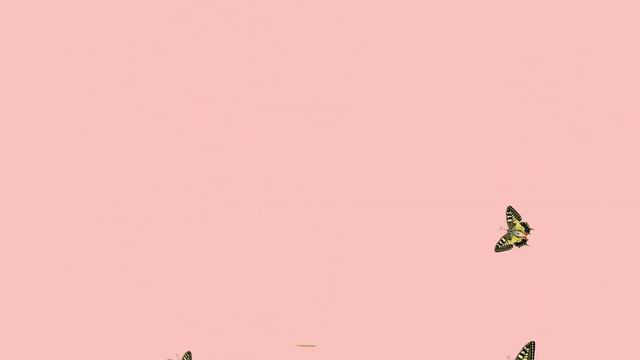 С Днем Рождения, Людмила! смотреть онлайн