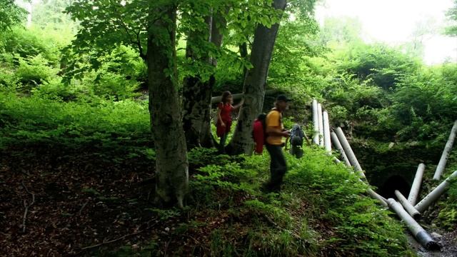 Заброшенная железная дорога в Железноводск. смотреть онлайн