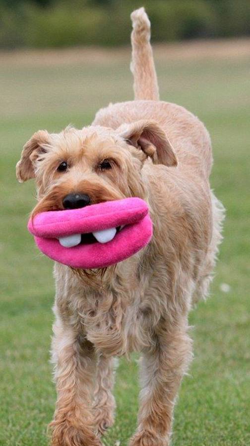 Мое видео СМЕШНЫЕ... ИЗ ИНЕТА! смотреть онлайн