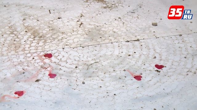 Люстру весом больше сотни килограмм спустили с потолка в череповецкой филармонии смотреть онлайн