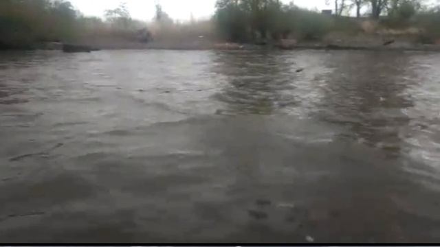 рыбалка на горбушу сетью река Амур смотреть онлайн