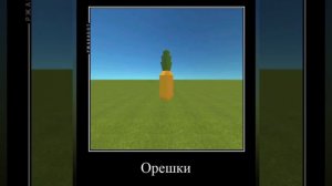 попугаи жрут орешки