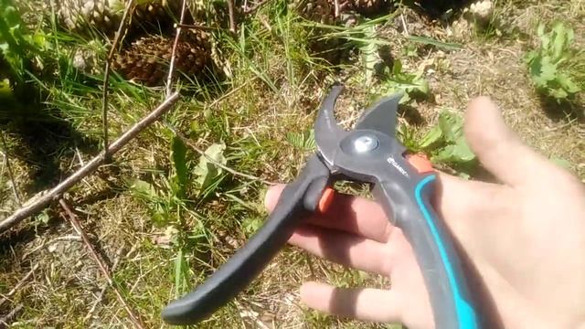 Я знаю!!! Какой секатор выбрать Gardena Обзор моего инструмента смотреть онлайн