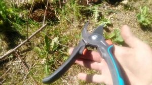 Я знаю!!! Какой секатор выбрать Gardena Обзор моего инструмента