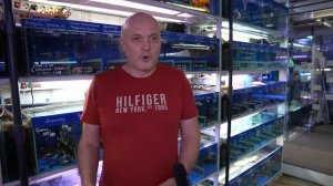 Птичий рынок в ТК «Садовод». Как выбрать аквариумных рыбок